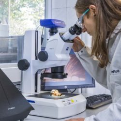 Frau arbeitet im Labor am Mikroskop