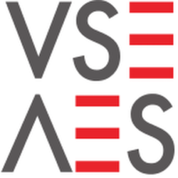 VSE Logo